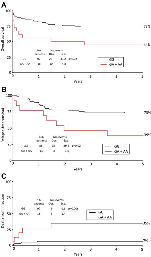 Figure 2. Prognosis of APL patients with WBC ≥ 3 × 109/L stratified by CD95 genotype. OS (A), RFS (B), and death from infection (C) in APL cases with a WBC count ≥ 3 × 109 L−1 by CD95 −1377 genotype (GG vs GA + AA). Percentages shown on Kaplan-Meier plot are at 5 years. The analysis for death from infection censors at deaths from other or unknown causes. Obs indicates observed; and Exp, expected.
