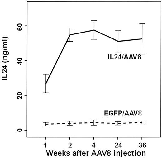 Figure 3. Time course of changes in plasma IL24 concentration after IM injection of AAV8-IL24 or AAV8-EGFP. In the AAV8-IL24 group, the plasma concentration of IL24 increased gradually, reaching a plateau (60 ng/mL) 2 weeks after vector injection. Thereafter, plasma IL24 levels remained stable during the 36-week observation period.