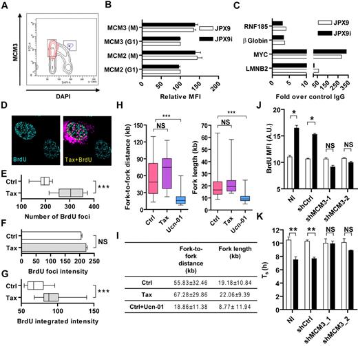 Figure 2. Tax overactivates replication origins. (A-B) JPX9 and JPX9i cells were extracted with CSK buffer, fixed, and stained for MCM2 or MCM3 and DNA content (4′,6-diamidino-2-phenylindole) before flow cytometric analysis. (A) Representative analyses of MCM2 staining and DNA content labeling. (B) MCM2 and MCM3 MFI in G1 and M phases of the cell cycle normalized to the MFI of control cells in G1 (relative MFI). (C) JPX9 and JPX9i were treated with HU (2.5mM) to synchronize cells at G1/S transition for 16 hours, and MCM2 occupancy at Myc, LaminB2, β-globin, and RNF185 replication origins was detected by ChIP. Results were expressed as a percentage of input DNA. (B) Representative results of one of 3 independent ChIP experiments are shown. (D) HeLa cells were transfected with a Tax expression vector, incubated during 3 hours, and synchronized at G1/S transition with 2mM HU. After a short BrdU pulse (15 minutes) in HU-free medium, cells were processed for confocal microscopy. (E) Number of BrdU foci, (F) BrdU foci intensity, and (G) integrated BrdU intensity in control (Ctrl) and Tax-positive cells (n = 50). (H-I) Rat-1 cells stably transduced with control (Ctrl) or Tax-expressing viruses were treated or not with UCN-01 (100nM, 3 hours), pulsed with BrdU (33μM, 30 minutes). DNA was isolated, spread on slides, and the BrdU-labeled tracks were analyzed by confocal microscopy. Next, fork-to-fork distance and length of isolated tracks were measured. (J-K) JPX9 cells were stably transduced with lentiviruses encoding MCM3 shRNAs, stimulated (black bars) or not (open bars) with ZnCl2 (120μM), and pulsed with BrdU for 30 minutes. (J) MFI of BrdU labeling and (K) duration of S phase were analyzed by flow cytometry (see supplemental Figure 4 for details). The results presented are the mean ± SD of 3 independent experiments. A.U. indicates arbitrary units; and NS, not significant. *P < .05, according to Kruskal-Wallis test. ***P < .001, according to Kruskal-Wallis test.