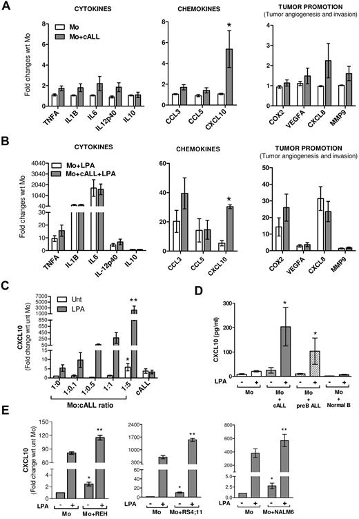 Figure 1. Human monocytes cocultured in vitro with BCP-ALL cells show increased expression of chemokine CXCL10. (A) Human monocytes (Mo) were cocultured with CD19+ cALL blasts isolated from cALL patients in a transwell system for 18 hours. Thereafter, the cALL-containing transwells were removed, the monocyte monolayers were washed, lysed, and use for accessing the expression of a panel of cytokine, chemokine, and tumor promotion (tumor angiogenesis and invasion) related genes. Mo indicates monocytes alone; and Mo + cALL, monocytes cocultured with cALL tumor blasts. A Mo/cALL ratio of 1:5 was used in this experiment. *P < .04, versus Mo. (B) Monocytes were cultured alone or cocultured with cALL cells as described in panel A. Thereafter, the cALL-containing transwells were removed; the monocyte monolayers were washed, incubated in fresh media for 1 hour, and stimulated with LPA (100 ng/mL) for 4 hours. Expression of the same panel of genes as described in panel A was assessed by quantitative PCR. Mo + LPA indicates monocytes cultured alone stimulated with LPA; and Mo + cALL + LPA, monocytes cocultured with cALL tumor blasts followed by LPA stimulation. *P < .05, versus Mo + LPA. (A-B) Data are mean ± SEM (n = 4). (C) LPA-induced expression of CXCL10 gene was assessed in monocytes cocultured with the cALL tumor blasts at different ratios as indicated in the figure. The procedure for coculturing and LPA stimulation remains the same as indicated for panel A. cALL + LPA indicates cALL blasts stimulated with 100 ng/mL LPA for 4 hours. Data are mean ± SEM (n = 3). *P < .05, versus Mo (1:0). **P < .05, versus Mo (1:0) + LPA. (D) Expression of CXCL10 protein by monocytes cocultured with cALL blasts, pre-B ALL blasts, or B cells from healthy donors (normal B), treated with or without 100 ng/mL LPA overnight. The procedure for coculturing remains the same as indicated for panel A. CXCL10 was measured by ELISA in the cell-free culture supernatant of the cells. Data are mean ± SEM (n = 3). *P < .03, versus Mo + LPA. (E) Monocytes were cultured alone or cocultured with a panel of human BCP-ALL cell lines for 18 hours using the same protocol as described in panel A. Thereafter, cells were stimulated or not with LPA (100 ng/mL) for 4 hours and CXCL10 gene expression assessed. Data are mean ± SD from a representative experiment. *P < .05, versus Mo. **P < .05, versus Mo + LPA.
