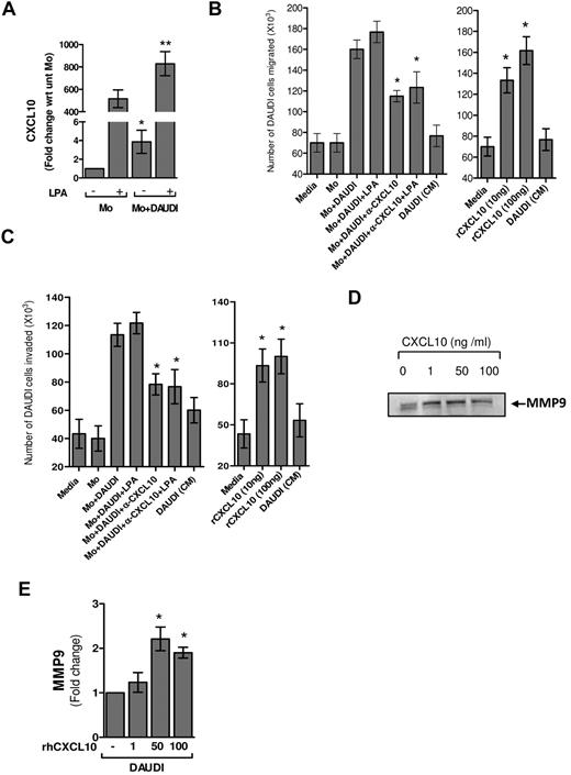 Figure 6. Monocytes cocultured with B-cell lymphoma cells show CXCL10 expression and protumoral effects. (A) CXCL10 expression by monocytes cocultured with or without DAUDI cells for 18 hours. Thereafter, the transwells containing DAUDI cells were removed; and the monolayers werre washed, incubated in fresh media for 1 hour, and stimulated with or without LPA (100 ng/mL) for 4 hours. Mo indicates monocytes alone; and Mo + DAUDI, monocytes cocultured with DAUDI cells. *P < .05, versus Mo. **P < .02, versus Mo + LPA. Migration (B) and invasion (C) of DAUDI cells in response to supernatants from DAUDI-cocultured monocytes, in the presence or absence of anti-CXCL10 (10μg/mL; left panels). *P < .002, versus Mo + DAUDI (with or without LPA). Right panels: Migration and invasion of DAUDI cells in response to recombinant human CXCL10. *P < .002, versus media. Data are mean ± SD (A) and mean ± SEM (B-C) of a representative experiment. (D) MMP9 activity by zymography. (E) MMP9 gene expression was assessed in DAUDI cells in response to recombinant human CXCL10. Data are mean ± SEM (n = 3). *P < .001, versus media.