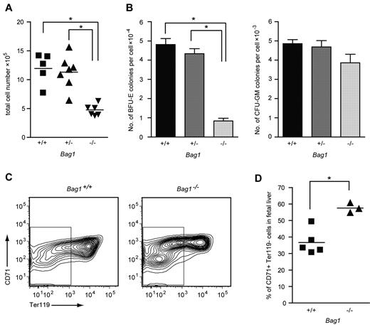 Figure 5. Bag1 deficiency inhibits maturation of erythroblasts in vivo. (A) Total number of nucleated cells in E12.5 fetal livers from Bag1+/+, Bag1+/−, and Bag1−/− embryos. *P < .001. (B) Number of colonies in BFU-E and CFU-GM assays represented as colonies per cell from E12.5 fetal livers, as in panel A. *P < .001. (C-D) FACS analysis of the 7AAD− cells from fetal livers, as in panel A. The gated area represents the Ter119− cells, which are quantified as the percentage of the total in the graph in panel D. *P < .005.