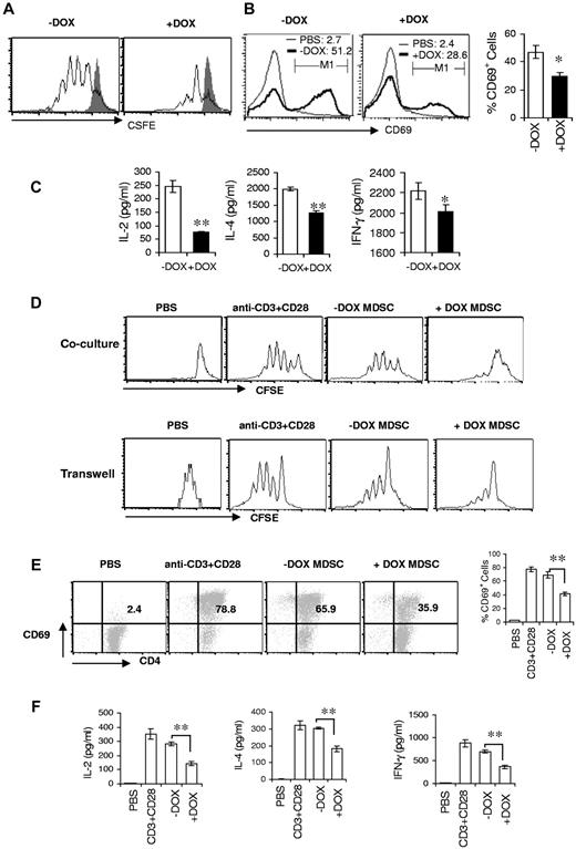 Figure 5. MDSCs from bitransgenic mice suppress T-cell proliferation and function. (A) CFSE-labeled splenic CD4+ T cells from 3-month doxycycline-treated (+DOX) or untreated (−DOX) c-fms-rtTA/(tetO)7-CMV-dnPPARγ–bitransgenic mice were stimulated with anti-CD3 mAb plus anti-CD28 mAb for 4 days. Proliferation of labeled CD4+ T cells was analyzed by flow cytometry. Peaks represent cell division cycles. PBS stimulation control is shown as the shaded areas. (B) CD4+ T cells from the spleens of 3-month doxycycline-treated or untreated bitransgenic mice were cultured and stimulated with anti-CD3 mAb plus anti-CD28 mAb. After 48 hours, CD4+ T cells were stained with anti-CD69 and CD4 Abs for the flow cytometry analysis. Percentages of CD69+ CD4+ T cells were statistically analyzed. (C) Lymphokine production of splenic CD4+ T cells in the medium measured by ELISA analysis; (D) CFSE-labeled wild-type CD4+ T cells were stimulated with anti-CD3 mAb plus anti-CD28 mAb for 4 days in the presence or absence of CD11b+Gr-1+ cells from the spleens of wild-type, doxycycline-untreated, or 3-month doxycycline-treated bitransgenic mice. The ratio of MDSCs to CD4+ T cells was 1:5. The proliferation of labeled CD4+ T cells was analyzed by flow cytometry. Peaks represent cell division cycles. Top panel, MDSCs and T cells in direct contact coculture study. Bottom panel, MDSCs and T cells in Transwell coculture study. (E) Similar to panel B, CD69+ expression on CD4+ T cells was analyzed by flow cytometry 48 hours after anti-CD3 mAb plus anti-CD28 mAb stimulation. (F) Lymphokine production of CD4+ T cells in the culture medium was measured by ELISA analysis. In all analyses, values were derived from 4 mice in each group (n = 4). *P < .05; **P < .01.
