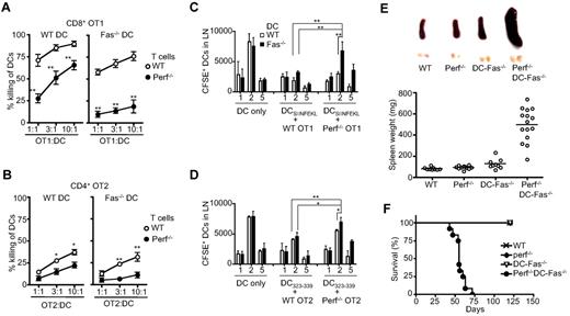 Figure 1. Perforin and Fas in the interactions between T cells and DCs. (A) Activated wild-type (WT) or perforin−/− CD8+ OVA-specific OT1 T cells were incubated with CFSE-labeled WT or Fas-deficient lpr DCs pulsed with OVASIINFEKL peptide. Killing of DCs were quantified with WT versus perforin−/− (mean ± SD): **P < .01 (n = 3). (B) WT or Fas-deficient lpr DCs were pulsed with OVA223-239 peptide and labeled with CFSE. Activated WT or perforin−/− CD4+ OVA-specific OT2 T cells were incubated with DCs. Killing of DCs was quantified (mean ± SD). WT versus perforin−/−: *P < .05, **P < .01 (n = 3). (C) WT or perforin−/− OT1 T cells were injected into recipient mice, followed by injection of CFSE-labeled WT of Fas−/− DCs pulsed with OVASIINFEKL peptide. Draining lymph nodes were harvested. Total cell numbers were counted and percentages of CFSE+ DCs were quantified by flow cytometry. Total CFSE+ DCs were determined (mean ± SD). **P < .01 (n = 5). (D) WT or perforin−/− OT2 T cells were injected into recipient mice, followed by injection of CFSE-labeled WT of Fas−/− DCs pulsed with OVA223-239 peptide. Draining lymph nodes were harvested and total CFSE+ DCs were determined as in (C). *P < .05, **P < .01 (n = 5). (E) Spleen and inguinal lymph nodes were harvested from 6-week-old WT, perforin−/−, DC-Fas−/−, and perforin−/−DC-Fas−/− mice. The weight of spleens of 6-week-old WT, perforin−/−, DC-Fas−/−, and perforin−/−DC-Fas−/− mice was also determined. WT versus perforin−/−DC-Fas−/−: P < .01. (F) Percentages of survival of WT, perforin−/−, DC-Fas−/−, and perforin−/−DC-Fas−/− mice at different ages (n = 20).