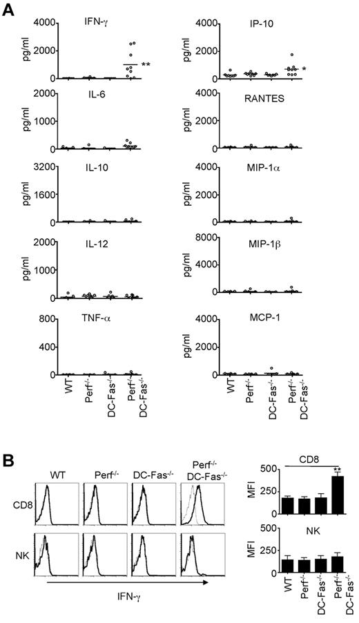 Figure 3. Uncontrolled IFN-γ production in perforin−/−DC-Fas−/− mice. (A) Sera from 4-week-old WT, perforin−/− (Perf−/−), DC-Fas−/−, and Perf−/−DC-Fas−/− mice were used for the measurement of different cytokines by multiplex. WT versus Perf−/−DC-Fas−/−: IFN-γ, ** P < .01; IP-10, *P < .05; other cytokines, not significant. (B) Intracellular staining for IFN-γ in CD8+ T cells and DX5α+ NK cells. Mean fluorescence intensity (MFI) for IFN-γ staining: **P < .01.