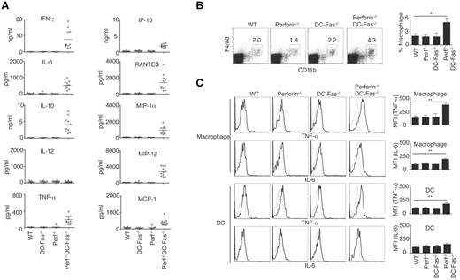 Figure 6. Uncontrolled production of inflammatory cytokines and chemokines in 7-week-old perforin−/−DC-Fas−/− mice. (A) Sera from 7-week-old WT, perforin−/− (Perf−/−), DC-Fas−/−, and Perf−/−DC-Fas−/− mice were used for measurement of different cytokines by multiplex. Statistic comparison between WT and Perf−/−DC-Fas−/−: for all cytokine except IL-12, P < .001; IL-12, not significant. (B) Percentages of F4/80+CD11b+ macrophages in mice as in panel A. P < .01 (n = 5). (C) Intracellular staining of TNF-α and IL-6 in F4/80+CD11b+ macrophages or CD11c+CD1b+ DCs from mice as in (A). Mean fluorescent intensity (MFI) for intracellular cytokine staining was plotted. **P < .01 (n = 5).