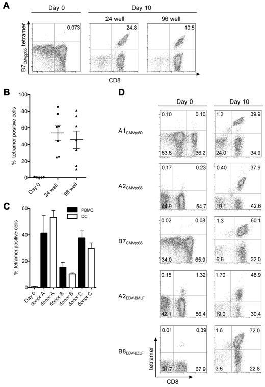 Figure 2. Comparison of culture conditions for expanding virus-specific T cells from CD45RA−CD62L+CD8+ precursors. (A) Representative flow plots showing tetramer staining of the enriched CD8+CD62L+ TCM before and 10 days after stimulation with a B*0702CMVpp65 peptide. TCM cells were plated either in a 24-well or 96-well plate with B*0702CMVpp65 peptide-pulsed γ-irradiated PBMCs. Shown are data from individual wells of the 24-well cultures and pooled wells of the 96-well cultures. (B) TCM cells from 7 donors were cultured the same as in panel A and tested for tetramer positivity on day 10. TCM from 3 donors were stimulated with an A*0201CMVpp65 peptide, and TCM from the other 4 donors were stimulated with a B*0702CMVpp65 peptide. Symbols represent the frequency of tetramer-positive T cells in cultures from each individual donor and the horizontal lines indicate the mean ± SEM. (C) TCM cells were plated onto 96-well plates and stimulated with either peptide-pulsed PBMC (■) or peptide-pulsed DCs (□). After 10 days of culture, 6 to 12 wells with growth were randomly selected and analyzed for the frequency of virus-specific T cells by tetramer staining. For each of the 3 donors, a B*0702CMVpp65 peptide was used for stimulation. The graph shows the mean frequency of tetramer positive cells in each donor and SEM at day 10 after each stimulation condition. (D) TCM cells from 4 donors were plated with autologous PBMCs pulsed with CMV or EBV peptides known to be presented by HLA alleles of the donor. The frequency of virus-specific T cells was determined by tetramer staining in the starting population and 10 days after stimulation. Data are representative of 5 independent experiments from each donor.