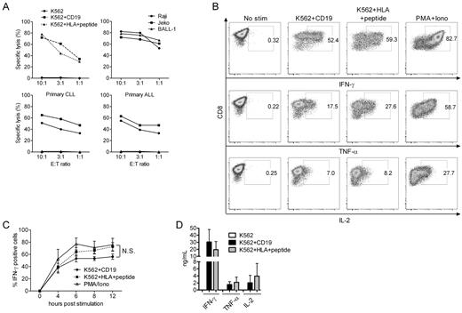 Figure 4. Analysis of effector functions after stimulation of bi-specific T cells through the virus-specific TCRs and CD19-CARs. (A) Cytotoxicity. HLA-B*0702CMVpp65 bi-specific T cells were tested for lysis of K562 (●), K562 transduced with CD19 (■), and K562 transduced with HLA-B*0702 and pulsed with CMVpp65 peptide (▴; top left panel). Bi-specific T cells lysed CD19+ tumor cell lines (top right panel), primary CLL cells from 2 patients (bottom left panel) and primary ALL cells from 2 patients (bottom right panel). In assays against primary tumor cells, K562 cells were used as a negative control (triangles in the bottom panels). (B) Intracellular cytokine staining. HLA-B*0702CMVpp65 bi-specific T cells stimulated for 4 hours with an equal number of the indicated K562 transfectants, permeabilized, and stained for intracellular IFN-γ, TNF-α, and IL-2, or left unstimulated. Stimulation with PMA/ionomycin served as a positive control. Data are shown for B*0702CMVpp65 bi-specific T cells and are representative of 5 experiments with bi-specific T cells from different donors. (C) Time-course analyses of intracellular IFN-γ staining of the bi-specific T cells. T cells were stimulated either with the indicated K562 transfectants or with PMA/ionomycin for 4-12 hours, permeabilized, and stained for intracellular IFN-γ. The mean and SEM of the percentage of T cells that stained positive for IFN-γ is shown for 5 independent experiments with bi-specific T cells from 3 donors (N.S., not significant). (D) IFN-γ, TNF-α, and IL-2 secretion. T cells were stimulated with the indicated K562 transfectants at a 1:1 ratio, and culture supernatants were harvested at 24 hours and analyzed by Luminex assay. Data are pooled from 7 independent experiments with bi-specific T cells from 7 donors (mean and SD).
