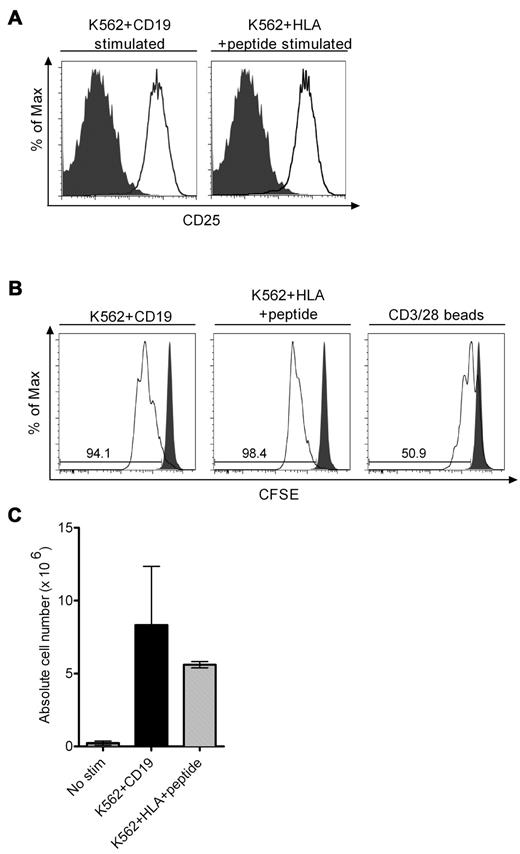 Figure 6. T-cell activation and division after stimulation through the virus-specific TCRs and CD19-CARs. (A) Up-regulation of CD25 after CD19 or TCR stimulation. Bi-specific T cells were stimulated with an equal number of either K562/CD19 or K562/HLA-B*0702 cells pulsed with CMVpp65 peptide or left unstimulated and examined for CD25 expression 24 hours later. Expression of CD25 on unstimulated cells is shown in the gray histograms and expression of CD25 on stimulated T cells is shown in the white histograms. (B) CFSE dilution assay after CD19 or TCR stimulation. Bi-specific T cells were labeled with CFSE, stimulated with an equal number of the indicated K562 transfectants or with CD3/28 beads, and CFSE staining intensity was analyzed 72 hours after stimulation. CFSE staining of unstimulated T cells is shown in the gray histograms and those of stimulated in the white histograms. Data are representative of 3 independent experiments. (C) Cell growth of bi-specific T cells after CD19 or TCR stimulation without exogenous IL-2. A total of 2 × 106 bi-specific T cells were stimulated with either K562/CD19 transfectants or K562/HLA transfectants pulsed with CMV peptide, and the absolute cell count was determined by the standard trypan blue dye exclusion method 4 days after stimulation. Data are pooled from 4 independent experiments with bi-specific T cells from 4 donors. The mean and SD of the absolute cell number is shown.