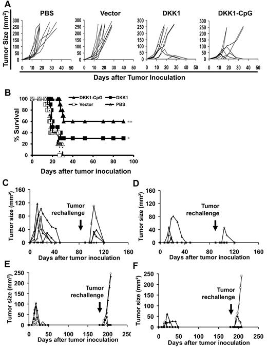 Figure 1. Protective effects of DKK1-DNA vaccines against myeloma. Results shown are measurements of tumor burdens (A) and survival (B) of mice receiving different treatments. Balb/c mice (10 per group) were IM vaccinated thrice with either PBS, vector control, DKK1 DNA, or DKK1 DNA plus CpG, followed by challenge with MOPC-21 myeloma cells. Tumor burdens were measured twice every week. Mice were euthanized when subcutaneous tumors reached 225 mm2 or when mice became moribund. Tumor burdens of tumor-free surviving mice (5 per group) previously treated with DKK1-DNA vaccine (C,E) or vaccine plus CpG (D,F) after rechallenge with the same myeloma cells on days 90 (C-D) and 180 (E-F) since the first tumor injection. Representative results of one of 3 to 4 independent experiments performed are shown. *P < .05; **P < .01, compared with PBS or vector controls.