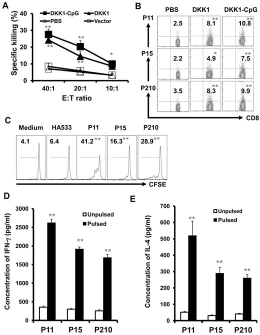 Figure 5. Induction of DKK1- and tumor-specific CD8+ CTLs in DKK1-DNA vaccinated mice. Mice (5 per group) were vaccinated thrice with PBS, vector control, DKK1 DNA, or DKK1 DNA plus CpG, followed by challenge with MOPC-21 cells. T cells were isolated from spleens 2 weeks after tumor challenge. (A) Cytotoxicity of T cells against MOPC-21 cells from mice receiving different treatments. (B) Percentages of murine DKK1 peptide-tetramer–positive CD8+ T cells from mice receiving different treatments. (A-B) Splenic T cells were restimulated in vitro with irradiated tumor cells for 5 days before assays. (C) Percentages of proliferative T cells analyzed by CSFE dilution assay. Splenic T cells from DKK1-CpG vaccinated mice were labeled with CFSE and restimulated by syngeneic DCs pulsed with or without DKK1 peptides (P11, P15, or P210) or a control influenza–A peptide (HA533) for 7 days. Concentrations of IFN-γ (D) or IL-4 (E) secreted by splenic T cells from DKK1-CpG–vaccinated mice after overnight restimulation by syngeneic DCs pulsed without or with DKK1 peptides P11, P15, or P210. Secreted cytokines in culture supernatants were measured by ELISA. Representative results of 1 of 2 independent experiments performed are shown. *P < .05; **P < .01, compared with controls.