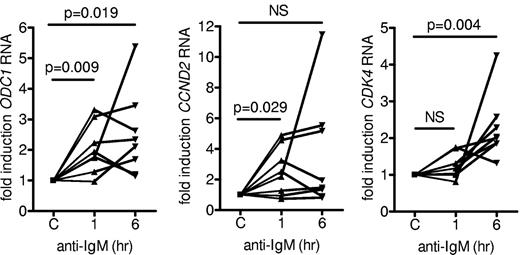 Figure 2. Effect of anti-IgM on expression of MYC target genes. CLL samples (n = 8) were stimulated with anti-IgM for 1 or 6 hours or with isotype control antibody. Expression of ODC1, CDK4, and CCND2 RNA were analyzed by quantitative real-time PCR. Expression values for the isotype control antibody (C) were set to 1.0 for each time point. Graphs show the fold induction for each sample and statistically significant differences are indicated (Student matched paired t test; NS indicates not significant, P > .05).