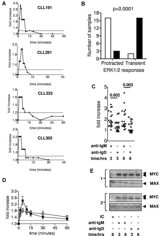 Figure 6. Activation of ERK1/2 phosphorylation and MYC expression in sIgD-stimulated CLL and normal B cells. (A) CLL samples were stimulated with anti-IgD for up to 60 minutes and analyzed for ERK1/2 phosphorylation by flow cytometry. Graphs show the fold increase in ERK1/2 phosphorylation after stimulation with anti-IgD relative to untreated cells for 4 representative samples. Note that the same samples are shown in Figure 3A (after sIgM stimulation), and direct comparison of sIgM and sIgD responses is shown in supplemental Figure 1B. (B) Comparison between protracted/transient ERK1/2 responses after stimulation of sIgM (□) or sIgD (■; Fisher exact test, P = .0001; n = 37). (C) Quantitation of MYC protein induction after stimulation of sIgM or sIgD, relative to isotype antibody-treated controls (n = 18). Note values for anti-IgM–treated cells are the same as those shown in Figure 1B and are shown again here to allow direct comparison with anti-IgD–treated cells. See supplemental Figure 1C for side-by-side immunoblot analysis of MYC expression in sIgM- or sIgD-stimulated CLL cells. (D) Normal B cells were stimulated with anti-IgM (□) or anti-IgD (■) for up to 60 minutes and ERK1/2 phosphorylation analyzed by flow cytometry. Graph shows mean fold increase in ERK1/2 phosphorylation for CD20+CD27− cells. Data are mean values ± SEM (n = 8). (E) CD19+CD27− B cells isolated from healthy donors were stimulated with anti-IgM or anti-IgD for 3 or 6 hours or for 6 hours with the isotype control. MYC and MAX expression was analyzed by immunoblotting. Results are shown for cells isolated from 2 separate donors.