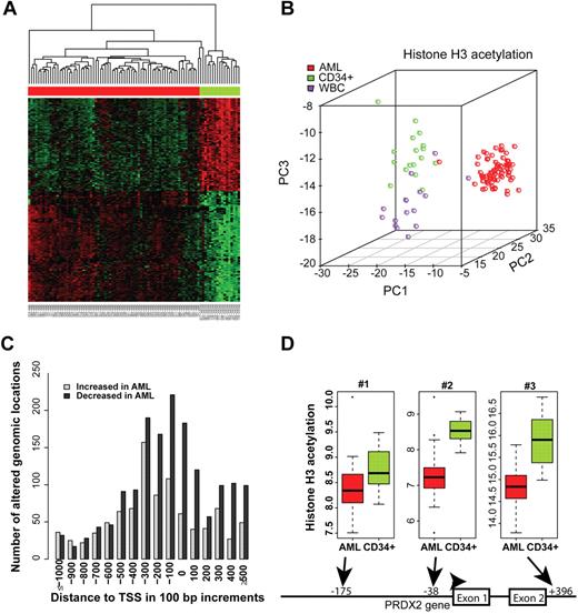 Figure 1. Promoter regions in AML blasts exhibit decreased levels of H3Ac. (A) The top 300 gene-associated genomic regions differing in H3 acetylation patterns between AML (n = 72) and CD34+ progenitors (n = 17) were hierarchically clustered. Green color indicates higher H3Ac levels, whereas red color indicates lower H3Ac levels. AML samples are indicated by the red bar on top of the heat map, and CD34+ progenitors are indicated in green. H3 acetylation of the PRDX2 promoter region is indicated. A full list of differentially acetylated genomic regions is shown in supplemental Table 1. (B) PCA was applied to the top 100 probes with different intensity values between AML, CD34, and white blood cells. Because of the overlap, overall 259 probes were used in the PCA analysis. (C) This histogram depicts the numbers of differentially acetylated regions with respect to their distance from the TSSs. No differences in the frequency of increased versus decreased acetylation levels were observed at distances > 300 bases upstream of the TSS. In contrast, in the core promoter region, losses of H3 acetylation were much more frequent in AML than increases. (D) The PRDX2 promoter was strongly hypoacetylated in AML specimens (n = 71) compared with normal CD34+ cells (n = 17). The probes located at −38 (P = .006) and +396 (P = .014) with regard to the TSS showed significantly lower H3 acetylation even after adjustment for multiple testing of all array probes.