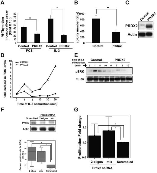 Figure 5. PRDX2 inhibits proliferation and clonogenic growth of myeloid cells. (A) The myeloid progenitor cell line 32D was transduced with PRDX2-expressing retrovirus. A total of 2 × 104 32D cells overexpressing Prdx2 were deprived of IL-3 and serum (0.5% FCS) for 12 hours in 200 μL of medium in a 96-well plate. Subsequently, cells were placed in medium with 10% FCS or supplemented with IL-3 (0.1 ng/mL). After an 8-hour incubation period at 37°C, 1μCi (0.037 MBq) 3H-thymidine was added to each well, and cells were incubated for an additional 12 hours. Cells were harvested onto glass fiber filters, and emission of bound DNA was analyzed in a scintillation counter. Cells overexpressing PRDX2 proliferated much slower than the vector control cells as measured by 3H-thymidine incorporation assay. The results shown are the mean of triplicates of 3 independent experiments ± SD. The * indicates the significance, calculated by t test; **P < .001 and *P < .05. (B) Colony growth in IL-3–supplemented methylcellulose was reduced in PRDX2-overexpressing 32D cells compared with empty vector control cells. The results represent the mean of 3 independent experiments ± SD (*P < .001, t test). (C) Expression of PRDX2 in 32D cells was confirmed by Western blot analysis. (D) ROSs were measured by the redox-sensitive fluorochrome Dihydrorhodamine 6G and visualized with flow cytometry. Increases in ROS levels after IL-3 stimulation were observed in control vector-transduced cells but not in PRDX2-expressing 32D cells. The result shown here is a representative of 3 independent experiments. (E) Intracellular signal transduction events were analyzed by Western blot analysis with phosphor-specific or total ERK Ab. Phosphorylation of ERK on IL-3 exposure was inhibited by PRDX2 expression. (F) Prdx2 expression was suppressed by shRNA in murine 32D cells. Sufficient inhibition of Prdx2 protein was achieved with 2 shRNA oligonucleotides or a mix of 3 RNAi sequences. Western blot analysis shows reduction in Prdx2 protein level after shRNA transfection (top panel). ROS levels were increased after shRNA-mediated knockdown of Prdx2 in 32D cells as analyzed by flow cytometry (FACS) with the use of the same probe as described above (bottom). Experiment was biologically repeated 5 times. The significance was calculated with the t test (*P < .05). (G) The decrease of Prdx2 expression enhanced proliferation of 32D cells. The results shown are the mean ± SD of 3 independent experiments (*P < .05, Mann-Whitney U test).