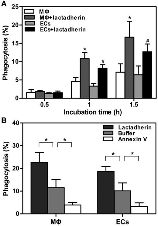 Figure 4. Effect of lactadherin on phagocytosis of target APL cells. A total of 1 × 106 CMFDA-labeled target APL cells were preincubated with 2nM lactadherin or annexin V for 10 minutes at room temperature, followed by removal of free protein-containing supernatant fluid. These cells were added to 5 × 105 CMTPX-stained THP-1–derived MΦs or HUVECs that were seeded in 12-well culture plates before analyses by flow cytometry. Phagocytosis was quantified by measuring the percentage of CMFDA (green)–positive red fluorescence (CMTPX) phagocytes. (A) Phagocytic index was calculated in the absence or presence of lactadherin at indicated times before 2 hours. Lactadherin enhanced the extent of phagocytosis in a time-dependent manner. Asterisk and pound sign (*, #) indicate P < .05 from phagocytosis by MΦs and ECs without lactadherin, respectively. (B) Phagocytic percentage of 2 hour-incubation was assayed after pretreatment of target APL cells with lactadherin and annexin V separately. Lactadherin enhanced phagocytosis, whereas annexin V decreased engulfment. *P < .05.