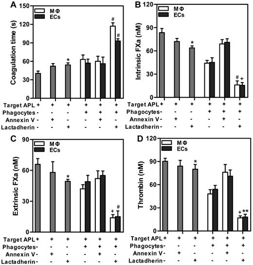 Figure 6. Effect of lactadherin on PCA of coincubated target APL cells and phagocytes. Target APL cells were preincubated with 2nM lactadherin or annexin V for 10 minutes at room temperature. Clotting time (A), intrinsic FXa (B), extrinsic FXa (C), and thrombin (D) of 1 × 106 target APL cells, or 1 × 106 target APL cells opsonized by annexin V or lactadherin, or incubation of 1 × 106 target cells with phagocytes (THP-1–derived MΦs or HUVECs) for 2 hours, or incubation of 1 × 106 annexin V–opsonized or lactadherin-opsonized target cells with phagocytes for 2 hours were determined. Lactadherin and phagocytes cooperatively increased coagulation time and reduced enzyme complexes of target APL cells. *P < .05 compared with single target APL cells. +P < .05; #P < .01; and **P < .001 compared with the mixture of APL targets and phagocytes (MΦs and ECs separately).