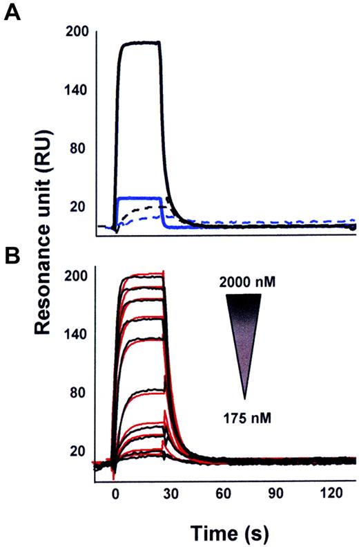 Figure 5. SPR analysis of the p17/CXCR1 and p17/CXCR2 interaction. (A) P17 (straight lines) or SDF-1α (dashed lines, both at 1.25μM) were injected over BIAcore CM5 sensor chips coated with a mAb to GST (blue lines) or in the presence of CXCR1 recombinant protein with GST tag (black lines). (B) Overlay of blank-subtracted sensorgrams resulting from the injection of increasing concentrations of p17 over the GST-CXCR1 surface. Black lines represent the experimental data. Red lines represent the fits.