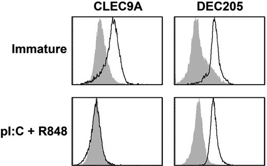 Figure 2. BDCA3+ mDCs lose CLEC9A expression on maturation, whereas DEC205 is still expressed. Expression of CLEC9A (left) and DEC205 (right) on freshly isolated BDCA3+ mDCs (top; immature) and BDCA3+ mDCs stimulated overnight with poly I:C and R848 (bottom; pl:C + R848). Flow cytometry plots are representative examples of 4 independent experiments performed with DCs from different donors. Filled gray histograms represent isotype controls, and open histograms represent cells stained with specific antibodies.
