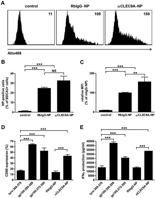 Figure 6. Tumor antigens delivered via CLEC9A to BDCA3+ mDCs are cross-presented to CD8+ T cells. Gp100 long peptide was targeted to CLEC9A via PLGA nanoparticles encapsulating gp100:272-300 and Atto488, coated with rabbit polyclonal αCLEC9A antibodies or rabbit IgG as control. (A-C) Uptake of nanoparticles by BDCA3+ mDCs after overnight incubation analyzed by flow cytometry. (A) Example of nanoparticle uptake by control BDCA3+ mDCs (no particles added; left), mDCs incubated with isotype antibody-coated particles (middle), or mDCs incubated with αCLEC9A-coated nanoparticles (right). Numbers indicate mean fluorescence intensity. (B) Percentage of Atto488-positive BDCA3+ mDCs. The graph shows mean ± SEM of 4 experiments with different donors performed in duplicate. (C) Relative fluorescence intensity of BDCA3+ mDCs. Data are presented as percentage of BDCA3+ mDCs incubated with RbIgG-coated nanoparticles. The graph shows mean ± SEM of 4 experiments performed in duplicate. (D-E) Freshly isolated BDCA3+ mDCs were incubated for 1-2 hours with 10μM irrelevant peptide (tyrosinase:369-376), 10μM gp100 short peptide (gp100:280-288), 10μM gp100 long peptide (gp100:272-300), or 50 μg/mL αCLEC9A- or RbIgG-coated PLGA nanoparticles encapsulating gp100:272-300 long peptide (corresponds to 0.5μM gp100:272-300) and Atto488. Next, DCs were cocultured overnight with allogeneic CD8+ T cells expressing gp100:280-288-specific TCR in the presence of 4 μg/mL R848 and 2 μg/mL poly I:C. T-cell activation was assessed by analysis of CD69 expression (D) and IFN-γ production (D). (D) Mean ± SD of percentage of CD8+ T cells expressing CD69 and is a representative example of 3 experiments with different donors performed in duplicate. (E) Mean ± SD IFN-γ production and is a representative example of 3 experiments with different donors performed in duplicate. **P < .01; ***P < .001; NS, not significant.