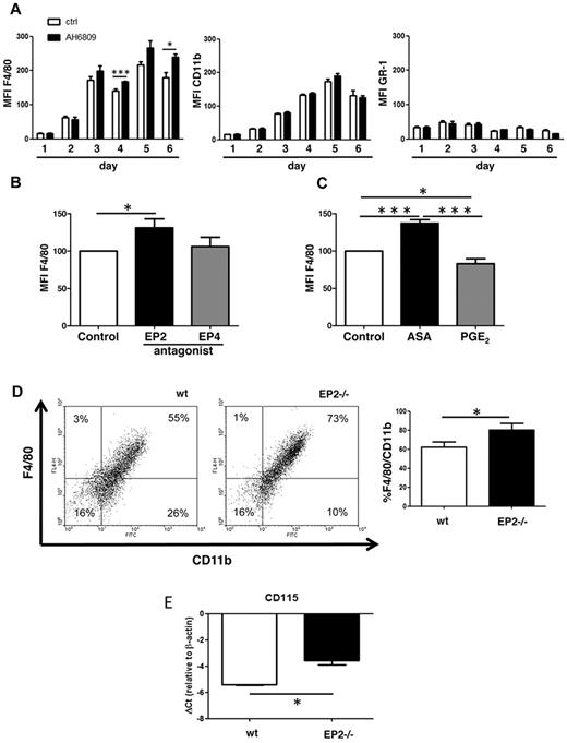 Figure 2. EP2 antagonism/deficiency promotes macrophage maturation. (A) EP2 antagonism promotes macrophage maturation. Freshly flushed bone marrow cells were cultured for 6 days with 30% L929 supernatant in the absence (Ctrl) or presence of EP2 antagonist AH6809 at 10μM; after 3 days, the culture was replenished with new medium containing AH6809, totaling 50% of original volume. Each day of the culture, cells were collected, stained, and analyzed for the markers indicated. Mean fluorescent intensity (MFI) is expressed as the mean ± SEM from 3 experiments, each using a different mouse (*P < .05, ***P < .001). (B) EP4 antagonism does not promote macrophage maturation. Freshly flushed bone marrow cells were cultured with the EP2 antagonist AH6809 at 10μM, or with 1μM EP4 antagonist Ono-AE3-208; control cells were cultured with DMSO. Cells were stained with F4/80-APC and CD11b-FITC and analyzed after 6 days of culture as described in panel A. Control containing DMSO was set as 100%. MFI is expressed as the mean ± SEM from 3 experiments, each using a different mouse (*P < .05). (C) Effects of aspirin (ASA) and exogenous PGE2 on macrophage maturation. Freshly flushed bone marrow cells were cultured with aspirin at 200μM, or with 1μM PGE2; control cells were cultured with DMSO. Cells were stained with F4/80-APC and CD11b-FITC and analyzed as described in panel A. Control containing DMSO was set at 100%. MFI is expressed as the mean ± SEM from 3 experiments, each using a different mouse (*P < .05, ***P < .001). (D) EP2 deficiency promotes macrophage maturation. Freshly flushed bone marrow cells isolated from EP2−/− and WT mice (wt) were cultured in 30% L929 cell supernatant as described in panel A. The dot-plot shown is representative of 3 experiments, each using cells from a different mouse. The percentage of CD11bpos/F4/80pos cells in both genotypes was compared using paired t test (*P < .05). (E) CD115 (M-CSFR) is up-regulated in EP2−/− mice during in vitro macrophage maturation. After 6 days of culture, bone marrow–derived cells were collected and analyzed for the expression of CD115 with qRT-PCR. Data are expressed as the mean ± SEM from 3 experiments, each using cells from a different mouse (*P < .05).
