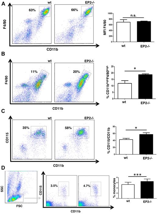 Figure 3. EP2−/− mice exhibit increased macrophage maturation in a model of thioglycollate peritonitis. (A) Maturation of peritoneal macrophages under steady-state conditions does not differ between EP2−/− and WT mice. Peritoneal cells were isolated by lavage from naive WT and EP2−/− mice and stained for the markers indicated. The dot-plot shown is representative of 4 experiments, each using cells from a different mouse. (B-C) EP2−/− mice have higher numbers of mature macrophages (CD11bhigh/F4/80high) and cells expressing CD115 in the peritoneal cavity in a model of peritonitis. EP2−/− and WT mice were injected intraperitoneally with thioglycollate. Peritoneal cells were isolated by lavage 4 days later and stained with CD11b-FITC, F4/80-APC, and CD115-PE as described in panel A. The dot-plots shown are representative of 3 to 4 experiments, each using a separate mouse. The percentage of CD11bhigh/F4/80highcells (B) and CD11bpos/CD115pos cells (C) was compared between both genotypes using a paired t test (*P < .05). (D) EP2−/− mice have a higher number of blood monocytes during peritonitis. Blood leukocytes were obtained from EP2−/− and WT mice 4 days after intraperitoneal injection of thioglycollate and stained as described in panels B and C. Blood monocytes were identified as a low side scatter (SSC) cell population showing cell surface expression of CD11b and CD115. The dot-plot shown is representative of 4 experiments, each using a different mouse. Percentages of CD11bpos/CD115pos cells in both genotypes were compared using paired t test (*P < .05; n.s. indicates not significant).