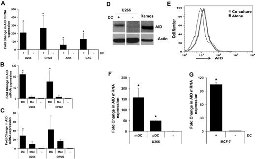 Figure 1. DC-mediated induction of AID. (A-B) Induction of AID mRNA in MM cells. (A) MM cell lines (U266, OPM2, ARK, CAG) were cocultured with monocyte-derived immature DCs (Mo-DCs) at tumor-to-DC ratio of 1:2. After overnight culture, tumor cells were re-isolated by magnetic bead or flow sorting, and expression of AID was analyzed by quantitative PCR. Data are normalized to the expression of the housekeeping gene GAPDH and expressed as fold change. To underestimate the fold induction of AID, the basal level of AID in MM cell lines cultured alone was deemed as detectable at 42 cycles, even when no signal was detected at 45 cycles. (*P < .05). Data are representative of ≥ 3 similar experiments. (B) MM cell lines (U266 and OPM2) were cocultured with or without DCs or freshly isolated CD14+ monocytes and analyzed for the induction of AID as in panel A. Data are representative of ≥ 3 similar experiments. (C) MM cell lines (U266 and OPM2) were cocultured with or without DCs or macrophages and analyzed for the induction of AID as in panel A. Data are representative of 3 similar experiments. (D-E) Detection of AID protein. (D) Lysates from MM cells either cultured alone or after exposure to DCs as in panel A were analyzed for the expression of AID protein by Western blot analysis with the use of an anti-AID Ab or β-actin as a loading control. Data are representative of ≥ 3 similar experiments. (E) The expression of AID in experiments in panel D was also analyzed by flow cytometry after permeabilization for intranuclear staining. Data are representative of ≥ 3 similar experiments. (F) Induction of AID by circulating human DC subsets. Circulating BDCA1+ mDCs or BDCA4+ pDCs were isolated by magnetic beads and cultured with U266 cells. Isolated tumor cells were analyzed for the induction of AID, as in panel A. (G) DC-mediated induction of AID in breast cancer cells. MCF-7 breast cancer cells were cultured alone or were re-isolated after exposure to DCs and analyzed for the expression of AID by quantitative PCR as in panel A.