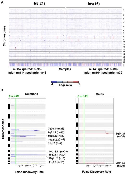 Figure 1. DNA CNAs in 300 newly diagnosed adult and pediatric patients with CBF-AML. (A) Log2 ratio SNP copy number data of diagnostic leukemia cells (median-smoothed with a window of 5 markers; blue indicates deletion and red gain). Each column represents a case, and the SNPs are arranged in rows according to chromosomal location. Cases are arranged by subgroup. Gross changes can be observed for example in chromosome 8 (17 cases with trisomy 8). (B) Analysis via GISTIC of copy number losses (left) and gains (right). False-discovery rate q values are plotted along the x-axis with chromosomal position along the y-axis. Altered regions with significance levels exceeding 0.25 (marked by vertical green line) were deemed significant. Nine significant regions of deletion, and 2 significant regions of amplification were identified. Chromosomal positions are shown for each significant region on the right side of the plots.
