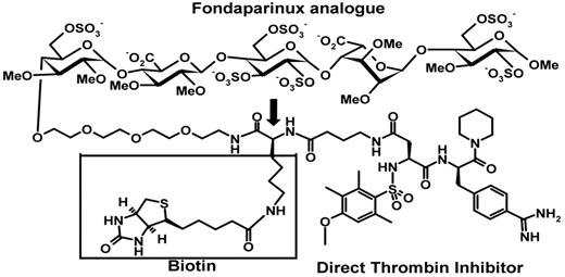 Figure 1. Structure of EP217609. The indirect factor Xa inhibitor moiety (fondaparinux analog), direct thrombin inhibitor moiety, and biotin label of EP217609 are indicated. The biotin is attached to the linker between the 2 inhibitor moieties through a lysine spacer indicated by the arrow. EP217609 is a mixture of diastereomers containing either an L-lysine spacer (EP217609-1) or a D-lysine spacer (EP307138-1). EP42675 lacks the lysyl-biotinyl group indicated by a box.