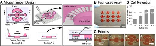 Figure 1. Microchamber design, fabrication, and characterization. (A) A single microchamber consisted of a central well connected to 2 side chambers via diffusion channels, and access ports to each of the compartments. Fluid replacement is performed via passive pumping using a micropipette (Section X-X). The central well was designed to have low wall shear stress at the bottom to retain settled nonadherent MM cells. Side chambers were used for experiments involving BMSCs in coculture with MM cells (Section Y-Y, inset). Scale bar represents 3 mm. (B) A single device consisted of a 3 × 4 array of microchambers on a 75 × 50-mm slide. Scale bar represents 10 mm. (C) Priming of the microchamber with 70% ethanol containing red food coloring dye. Scale bar represents 3 mm. (D) Characterization of the retention of suspension cells in microchambers. Fraction of retained cells, after 25 VRs of 8 μL per VR into the central well, increased with increasing culture time, up to 99% retention for 16 hours of culture before VRs.