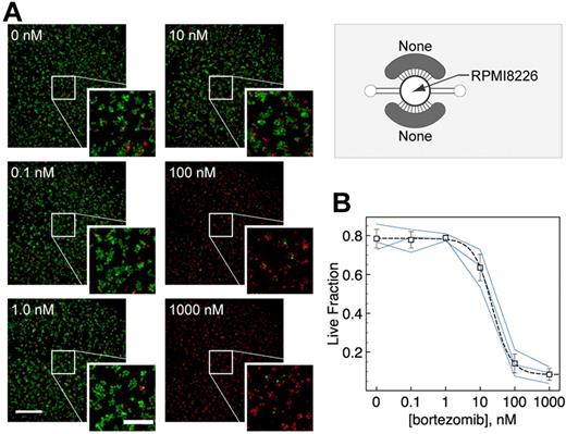 Figure 2. Microchamber cell viability assay for suspension cells. (A) Calcein AM (green) and ethidium homodimer (red) were used to label live and dead RPMI 8226 cells, respectively, which were cultured and treated with bortezomib for 24 hours. (B) Cell viability after 24-hour treatment with bortezomib was dose-dependent with average IC50 ∼ 22nM. Blue lines indicate dose-responses predicted by each of 3 independent experiments (n = 3; independent averages of duplicates). Error bars represent SE.