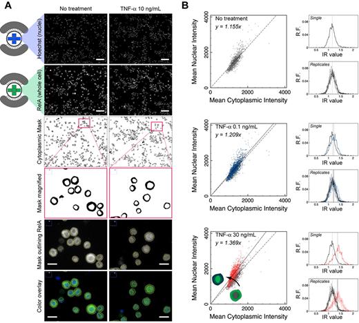 Figure 3. Fluorescence image analysis for μSCeNT assay. (A) Representative raw and filtered images from TNF-α dose-response experiments comparing NF-κB activation via TNF-α treatment at 10 ng/mL for 20 minutes to no treatment. (Top to bottom) Raw image of Hoechst stain (nucleus only), and raw image of RelA (NF-κB subunit) stain (whole cell). Scale bar represents 100 μm. Binary cytoplasmic mask generated by subtracting nuclear region from whole cell; inset of cytoplasmic mask; magnified RelA stain with yellow outline of cytoplasmic mask to indicate boundaries separating nucleus and cytoplasm, and color overlay of Hoechst (blue) and RelA (green) stains. Scale bar represents 20 μm. (B) Scatter plots of mean nuclear intensity versus mean cytoplasmic intensity per cell analyzed in a single microchamber. Intensity ratio IR per cell can be calculated, and a histogram can be displayed to show features of the population distribution of IR values (x-axis), where y-axis is relative frequency (R.F.). Gray represents no treatment; blue, TNF-α at 0.1 ng/mL for 20 minutes; and red, TNF-α at 30 ng/mL for 20 minutes. “Replicates” indicates distributions from 9 independent microchambers overlapped.