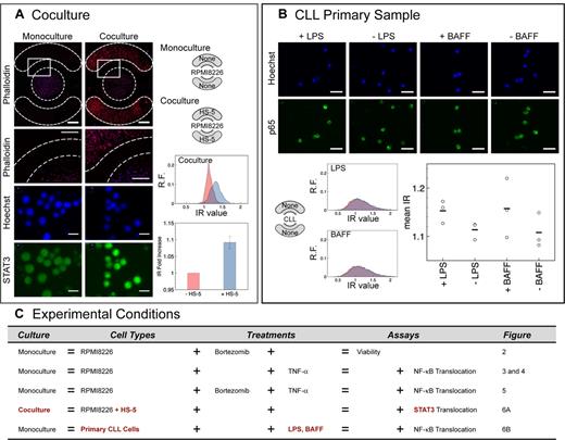Figure 6. Robustness of the microchamber array was demonstrated by coculture and primary cell experiments. (A) Effect of HS-5s on STAT3 activation. Phalloidin (red) and Hoechst (blue) stains showed compartmentalization of cell types in their respective chambers. Scale bar represents 1 mm (inset scale bar represents 500 μm). Hoechst (blue) and STAT3 (green) stains showed marked increase in nuclear STAT3 for cocultured RPMI 8226 cells compared with monoculture. Histograms of IR values (x-axis) for monoculture (red) versus coculture (blue), where y-axis is relative frequency (R.F.). Population mean IR for coculture was normalized to the population mean IR for monoculture (IR fold increase in bar graph, n = 3; independent averages of quadruplicates). Error bars represent SE. (B) CLL primary patient sample showed detectable NF-κB activation by BAFF and lipopolysaccharide. Shape of distribution differed from cocultured RPMI 8226 distribution in panel A. Scale bar represents 20 μm; graph, n = 1. ○ represents triplicates; and bar, triplicate average. (C) List of experimental conditions tested.