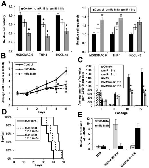 Figure 4. Ectopic expression of miR-181a and, particularly, miR-181b exhibits anti–tumor effects in MLL-rearranged AML in vitro and in vivo. *P < .05 (2-tailed t test). (A) Effect of ectopic expression of miR-181a and miR-181b on viability (left panel) or apoptosis (right panel) of MONOMAC-6, THP-1, and KOCL-48 cells, respectively. The controls are cells transfected with empty plasmids. Data are mean ± SD from 3 independent experiments. (B) Cell growth/proliferation analysis of MONOMAC-6 cells transfected with MSCV-PIG (ie, control), MSCV-PIG-miR-181a, or MSCV-PIG-miR-181b. Cell growth is significantly (P < .05) slower in leukemic cells transduced with miR-181a or miR-181b than those transduced with empty vector after 3 days of culture. (C) Colony-forming/replating assay of mouse normal BM progenitor cells transduced with MSCVneo + MSCV-PIG (ie, control), MSCVneo + MSCV-PIG-miR-181a (ie, miR-181a), MSCVneo + MSCV-PIG-miR-181b (ie, miR-181b), MSCVneo-MLL-AF9 + MSCV-PIG (ie, MA9), MSCVneo-MLL-AF9 + MSCV-PIG-miR-181a (ie, MA9 + miR181a), or MSCVneo-MLL-AF9 + MSCV-PIG-miR-181b (ie, MA9 + miR181b). Duplicates were plated for each combination with 1 × 104 cells per dish, and every 7 days the cells were replated for up to 4 passages. Two independent experiments were conducted. Data are mean ± SD. (D) In primary mouse bone marrow transplantation (BMT) assay, both MA9 + miR181a mice (n = 5) and MA9 + miR181b mice (n = 5) developed leukemia slower than MA9 (ie, MLL-AF9 alone) mice (n = 5), although only the difference between MA9 + miR181b and MA9 mice is statistically significant (P = .004; log-rank test). (E) Relative expression of miR-181a or miR-181b expression in MA9, MA9 + miR181a, or MA9 + miR181b leukemic mouse BM cells (samples from 3 mice in each cohort were analyzed). The level in MA9 was set as 1.