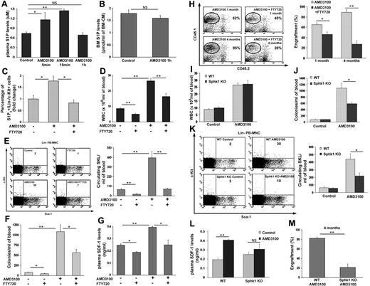 Figure 2. The S1P/S1P1 axis regulates rapid AMD3100-induced mobilization of progenitor cells via enhanced SDF-1 release. (A) S1P ELISA plasma levels in PBS (control) and AMD3100 injected mice (single subcutaneous injection and evaluation after 5 minutes, 15 minutes or 1 hour) are shown. (B) S1P BM concentration in PBS (control) and AMD3100 injected mice (single subcutaneous injection and evaluation after 1 hour) are presented. (C-H) Mice were injected with PBS (control), FTY720 (single intraperitoneal injection and evaluation after 1.5 hours), AMD3100 (single subcutaneous injection and evaluation after 1 hour) or AMD3100+FTY720 (single intraperitoneal injection of FTY720 30 minutes before a single subcutaneous injection of AMD3100 and evaluation 1 hour after AMD3100 injection). The percentage of BM S1P1+/c-Kit+/Lin− cells (C) is shown. The numbers of WBCs (D), primitive SKL cells (E) Left, representative FACS plots of Lin− PB-MNC. The numbers in the top right quadrant of each plot represent SKL cells per 1 × 106 PB-MNC. (E) Right, total PB-MNC cell analysis and CFU-C (F) per milliliter blood are shown. Plasma SDF-1 ELISA levels (G) and the level of donor chimerism 1 month and 4 months after transplantation of whole pretreated blood (H) Left, representative FACS plots of total BM cells. The numbers in the top right quadrant of each plot represent % of engraftment. (H) Right, total engraftment analysis are presented. (I-M) WT and Sphk1 deficient mice (Sphk1 KO) were injected with PBS (control) or AMD3100 (single subcutaneous injection and evaluation after 1 hour). The numbers of WBCs (I), CFU-Cs (J), and primitive SKL cells (K) Left, representative FACS plots of Lin− PB-MNC. The numbers in the top right quadrant of each plot represent SKL cells per 1 × 106 PB-MNC. (K) Right, total PB-MNC cell analysis per milliliter of blood were analyzed. Plasma SDF-1 ELISA levels (L) and the level of donor chimerism 4 months after transplantation of whole pretreated blood (M) are shown. Indicated values are presented as mean ± SE in 3 independent experiments, a total of 6 mice in each group. Repopulation experiments were performed with a total of 4-7 mice per each group (*P < .05, **P < .01).
