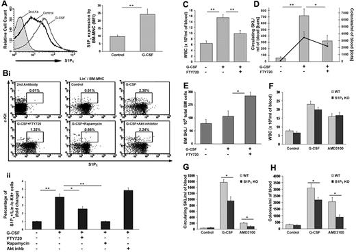 Figure 4. Elevated BM S1P1 levels during G-CSF–induced mobilization. (A-E) Mice were injected with PBS (control), G-CSF (5 consecutive subcutaneous injections and evaluation 3-5 hours after the last injection), G-CSF+FTY720 (5 consecutive intraperitoneal injections of both agents), G-CSF+Rapamycin (5 consecutive subcutaneous injections of both agents) or G-CSF+Akt inhibitor (5 consecutive intraperitoneal injections together with G-CSF). A representative histogram (A left) and a total cell analysis (A right) of S1P1 receptor expression on BM MNC are presented. The percentage of S1P1+/c-Kit+/Lin− cells in the BM: (Bi) representative FACS plots of Lin− BM-MNC with the percentage of positive cells from 1 experiment written in each plot and (Bii) total BM-MNC cell analysis are shown. The numbers of WBCs (C), primitive SKL cells (D bars) and CFU-Cs (D dots) per milliliter of blood are shown. BM SKL numbers per 1 × 106 total BM cells (E) are presented. (F-H) WT and S1P1 conditional deficient mice (S1P1 KO) were injected with PBS (control), AMD3100 (single subcutaneous injection and evaluation after 1 hour) or G-CSF (5 consecutive subcutaneous injections and evaluation 3-5 hours after the last injection). The numbers of WBCs (F), primitive SKL cells (G), and CFU-Cs (H) per milliliter of blood are shown. Indicated values are presented as mean ± SE in 3 independent experiments, a total of 6 mice in each group (*P < .05, **P < .01).