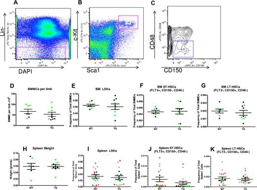 Figure 2. Activation of PTH signaling in osteocytes does not change BM cellularity, phenotypic HSCs, spleen weight, or extramedullary hematopoiesis. (A-C) Representative flow cytometric dot plot illustrating gating scheme for subsets of LSK cells from the BM from 3.5- to 4-week-old WT or TG male littermate mice. Parent population is obtained from the FSC and SSC population. The lineage-negative, DAPI-negative population (A) was further analyzed for Sca-1 and c-kit expression (B).The LSK cell subset was further analyzed for the expression of the SLAM receptors CD150 and CD48 (representative contour plot in panel C) and for Flt-3 (not shown). (D) Total BMMCs obtained from crushing 1 femur and 1 tibia from each mouse are depicted. LSK cells (E) and subsets for MPPs/ST-LSK (Flt3+CD48−CD150−, F) and LT-LSK (Flt3−CD48−CD150+, G) are represented as frequency of total. (H) Spleen weights in 4-week-old WT or TG male littermates. (I-K) Spleen LSK cells (I), ST-HSCs (J), and LT-HSCs (K). The analysis was performed in 2 separate experiments for the BM (WT, n = 7; TG, n = 9), 4 separate experiments for the spleen (WT, n = 17; TG, n = 18; spleen weights were obtained in 2 of 4 experiments). Each dot represents an individual mouse; each separate experiment is indicated by a different color; bar indicates the mean and SEM. None of the results demonstrated a statistically significant difference.