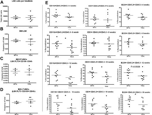 Figure 5. TG-A mice have decreased LT-HSC activity. Quantification of BM LSK cells per hind limb (1 femur and 1 tibia). Cells were obtained by both flushing and crushing, the same method used for TG and WT in the same cohort (A). (B-D) LSK cell frequency (B), BM pST-HSCs (C), and pLT-HSCs (D) in TG-A mice and their WT littermates from group A. (E) Donor BM from TG-A mice and their WT littermates was collected by flushing, mixed with competitor BM, and transplanted into 10 recipients per group. The percentage of CD45.2+/CD45.1−-expressing myeloid cells (CD11b+), T cells (CD3ϵ+), and B cells (B220+) in the blood of recipient mice was analyzed at 4, 8, 12, and 16 weeks after transplantation as indicated. Each dot represents an individual recipient mouse. Bar indicates the mean and SEM. *P ≤ .05.