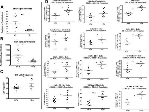 Figure 6. TG-B mice have decreased BM LSK cells and increased splenic LSK cells at 4-5 weeks of age. Total BMMCs per limb (A), LSK cells per limb (B), and BM LSK-cell frequency (C) were quantified from 4- to 5-week-old TG-B and WT male and female littermate mice (n = 11 TG-B mice and sex-matched littermate controls; each dot indicates an individual donor; 2 separate experiments are indicated with 2 colors). (D) BMMCs flushed from hind limbs of WT or TG mice, as indicated, were mixed in a 2:1 ratio with CD45.1+ competitor BM cells and transplanted into CD45.1+ recipients. The percentage of CD45.2+/CD45.1−-expressing myeloid cells (CD11b+), T cells (CD3ϵ+), and B cells (B220+) in the peripheral blood of recipient mice was analyzed at the times indicated after transplantation. Each dot represents an individual recipient mouse. Bars indicates the mean and SEM. *P ≤ .05; **P ≤ .01; ***P ≤ .001.