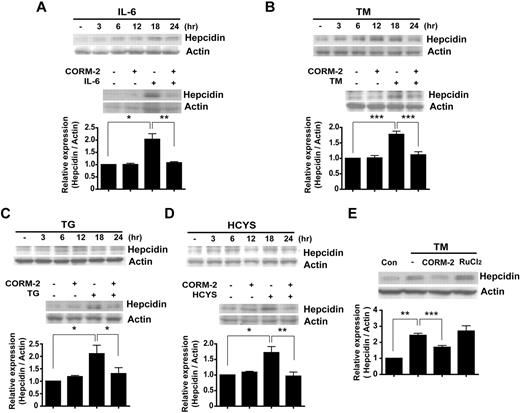Figure 1. CO inhibits hepcidin expression by IL-6 and ER-stress inducers. HepG2 cells were treated with IL-6 (10 ng/mL; A), TM (10 mg/mL; B), thapsigargin (TG; 10mM; C), or homocysteine (HCYS; 1mM; D) for the indicated periods of time. The expression levels of hepcidin were analyzed by Western blotting (top panels). Cells were preincubated for 3 hours with CORM-2 (20μM) and were then exposed for 18 hours to IL-6, TM, TG, or HCYS (bottom panels). (E) HepG2 cells were treated with CORM-2 or RuCl2 and treated with TM for 18 hours. (A-E) β-actin served as the standard. Values are means ± SEM from 3 independent experiments. *P < .05; **P < .01; ***P < .001.