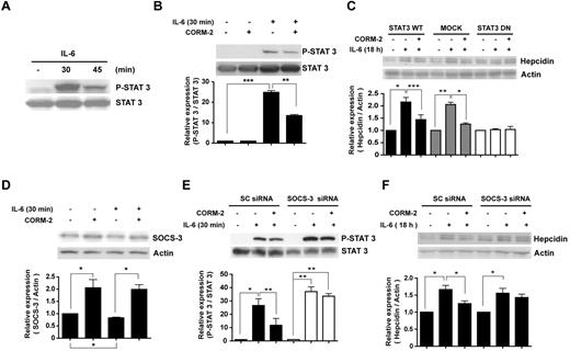 Figure 2. CO attenuates IL-6–induced STAT-3 activation. (A) HepG2 cells were treated with IL-6 (10 ng/mL) in a time-dependent manner, and then total cell lysates were probed with Ab for tyrosine phosphorylated or total STAT-3. Cells were preincubated for 2 hours with CORM-2 (20μM) and were then exposed for 30 minutes to IL-6 (B,D). (C) HepG2 cells were transiently transfected with STAT-3 DN vector, STAT-3 wild-type vector, or empty vector and exposed to 10 ng/mL of IL-6 for 18 hours in the presence or absence of CORM-2. Cells were transiently transfected with siRNA against human SOCS-3. After transfection, the cells were incubated with CORM-2 and then exposed to IL-6 for 30 minutes (E) or 18 hours (F). Values are means ± SEM from 3 independent experiments. *P < .05; **P < .01; ***P < .001.