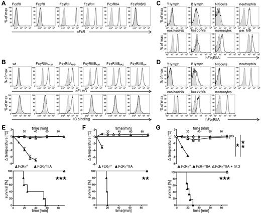 Figure 1. FcγRIIA can induce active systemic anaphylaxis. (A) Representative histogram plots of human FcR expression on human blood neutrophils. (B) Representative histogram plots of anti-FLAG mAb (top panel) or preformed mouse polyclonal IgG-immune complexes (bottom panel) binding to CHO transfectants expressing the indicated FLAG-tagged human polymorphic variants of FcγRIIA (H131 or R131) and FcγRIIIB (NA1, NA2, or SH). (C) Representative expression of FcγRIIA on blood and peritoneal cells from 3KOIIA mice (open histograms) or nontransgenic 3KO littermate controls (filled histograms): T cells (CD3+), B cells (CD19+), NK cells (DX5+/NK1.1+), neutrophils (Gr1hi/CD11b+), eosinophils (Gr1int/SiglecF+), basophils (IgE+/DX5+), and monocytes/macrophages (CD11b+/Gr1−). (D) Representative expression of FcγRIIA (open histograms) on human blood cells: T cells (CD3+), B cells (CD19+), NK cells (CD56+), neutrophils (CD24+), eosinophils (CCR3+/CDw125+), basophils (FcϵRI+/CD203c+), and monocytes (CD14+); or isotype control (closed histograms). (E-G) Indicated mice were immunized with BSA, (E) in Freunds adjuvant, or (F-G) in alum, challenged with BSA and central temperatures and survival rates were monitored. (E) ASA in FcRγ−/− (n = 7) and FcRγ−/−IIA mice (n = 5). (F) ASA in FcRγ−/− (n = 4) and FcRγ−/−IIA (n = 5) mice. (G) ASA in FcRγ−/−IIA mice injected twice with anti-FcγRIIA mAb IV.3 (n = 5) or not (n = 6), before BSA-challenge. FcRγ−/− mice were used as controls (n = 7). (E-G) Data are represented as mean ± SEM. (A-G) Data are representative of at least 2 independent experiments (*P < .05; **P < .01; ***P < .001).
