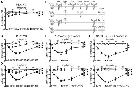 Figure 2. In vivo aggregation of FcγRIIA induces passive systemic anaphylaxis. (A,C-D) Indicated FcγRIIA-transgenic mice were injected with 50 μg (gray symbols) or 150 μg (black symbols) of mAb IV.3, and central temperatures were monitored (n = 3). Nontransgenic littermates injected with 150 μg mAb IV.3 were used as controls (open symbols, n = 3). (A) FcRγ−/−, (C) 3KO, (D) 5KO backgrounds. (B) Schematic representation of Fc receptors expressed in the different mouse models used in this study. (E-F) Mice were injected with indicated preformed mouse IC and central temperatures were monitored. Gray symbols indicate mice injected with 50 μg of mAb IV.3 24 hours before challenge (n = 4). Top panel (E) n = 5, (F) n = 4. Bottom panel (E) 3KO or 3KOIIA n = 3, (F) 3KO n = 3, 3KOIIA+iso n = 4. (A,C-F) Data are represented as mean ± SEM and are representative of at least 2 independent experiments (**P < .01; ***P < .001).
