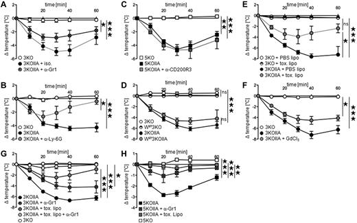 Figure 3. Neutrophils and monocytes/macrophages are necessary for FcγRIIA-dependent PSA. (A-G) Indicated mice were injected with preformed polyclonal IgG-IC (mouse anti-GPI antiserum plus GPI), and central temperatures were monitored. PSA in FcγRIIA transgenic mice injected with (A) anti-Gr1 mAbs (n = 8) or isotype (ISO) control (n = 3), (B) anti–Ly-6G mAbs (n = 4) or untreated control (n = 4), (C) anti-CD200R3 mAbs (n = 3) or untreated control (n = 3). Nontransgenic littermates were used as controls (A, n = 2; B, n = 4; C, n = 3). (D) PSA in Wsh3KOIIA mice and 3KOIIA mice (n = 3). Nontransgenic littermate controls 3KO (n = 3) and Wsh3KO mice (n = 4) were used as controls. (E-F) PSA in 3KOIIA mice injected with (E) PBS liposomes (PBS lipo) or clodronate liposomes (toxic lipo; n = 3), (F) Gadolinium chloride (GdCl3) or not (n = 4). Nontransgenic littermates were used as controls (E, n = 2; F: n = 4). (G) PSA in 3KOIIA mice left untreated (n = 7), or injected with anti-Gr1 mAbs (n = 5), toxic liposomes (n = 6) or anti-Gr1 mAbs plus toxic liposomes (n = 6). Data are a compilation of 2 experiments. 3KO served as negative control (n = 2). Statistical significances are indicated among 3KOIIA groups. (H) mAb IV.3-induced PSA in indicated mice injected with anti-Gr1 mAbs, toxic liposomes, or left untreated (n = 3). (A-H) Data are represented as mean ± SEM, and (A-F,H) are representative of at least 2 independent experiments (*P < .05; **P < .01; ***P < .001).