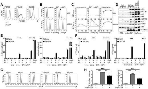 Figure 6. FcγRIIA activates mouse and human mast cells in vitro. (A) Representative expression of FcγRIIA on PCMCs, FSMCs, and BMMCs from 3KOIIA (open histogram) and 3KO mice (filled histogram). (B) PCMCs from indicated mice were incubated with indicated preformed mouse IgG-IC (αOVA: anti-OVA mAb; αGPI: polyclonal anti-GPI antiserum; open histograms) or not (filled histograms). Binding of ICs was detected by staining with F(ab′)2 GAM-PE. (C) Calcium fluxes in PCMCs from 3KO or 3KOIIA mice incubated with indicated IC (black curves) or Ag alone (gray curves). Ionomycin was used as control. (D) Western blot analysis of PCMC lysates after stimulation with indicated reagents for different periods of time. PCMCs sensitized overnight with IgE anti-DNP and challenged with DNP-HSA for 3 minutes served as positive controls. Actin was used as a loading control. FcγRIIA was used as a genotype control (reprobe after pERK1/2 staining). (E-F) Mediator release by PCMCs from 3KO (open bars) and 3KOIIA (black bars) mice challenged with indicated reagents. PCMCs sensitized overnight with IgE anti-DNP and challenged with DNP-HSA served as positive controls. NB: GPI+αGPI correspond to ICs made of GPI and polyclonal anti-GPI antiserum in panel E, and to ICs made of GPI and IgG purified from anti-GPI antiserum in panel F. (G) Representative histogram plots of human FcR expression on human SMCs. (H) Percentage of β-hexosaminidase release and quantification of histamine release by human SMCs incubated with anti-FcϵRI mAb or with preformed complexes of mAb IV.3 and GAM. (E-F,H) Data are represented as mean ± SEM. (A-H) Data are representative from at least 2 independent experiments (*P < .05; **P < .01; ***P < .001).