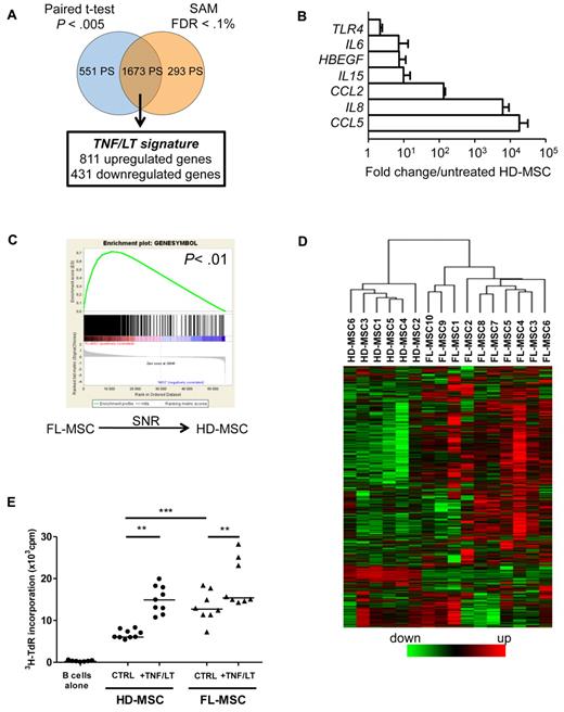 Figure 2. FL-MSCs are committed to a FRC-like phenotype. (A) Schematic representation of the statistical analysis used to highlight the TNF/LT signature defined as the intersection of the 2 genelists generated by SAM analysis (FC > 2 or < 0.5 and false discovery rate < 0.1%) and paired t test (FC > 2 or < 0.5 and P < .005). (B) Validation by RQ-PCR of the overexpression of TLR4, IL6, HBEGF, IL15, CCL2, IL8, and CCL5 in HD-MSCs stimulated by TNF/LT for 3 days compared with untreated HD-MSCs. Each sample was normalized to GAPDH and compared with expression in untreated HD-MSCs. The results are the mean ± SD obtained on 3 different HD-MSCs. (C) Gene set enrichment analysis enrichment score curves for the TNF/LT signature in MSC samples via use of the SNR statistic to rank the genes. Vertical black lines indicate the position of each of the 811 nonredundant up-regulated genes included in the TNF/LT signature, and the green curve represents the running sum of the weighted enrichment score. (D) Hierarchical clustering of HD-MSCs and FL-MSCs performed on the 1673 PS of the TNF/LT signature. The relative level of gene expression is depicted according to the shown color scale. (E) BL2 cell line was cultured in low serum concentration alone, or with confluent HD-MSCs (n = 9) or FL-MSCs (n = 8), pretreated or not with TNF/LT. Tritiated thymidine (3H-TdR) incorporation was evaluated at day 3. MSCs cultured alone always showed a 3H-TdR incorporation ≤ 500 cpm. **P < .01; ***P < .001