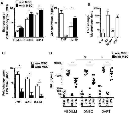 Figure 5. FL-MSCs drive monocyte differentiation to a TAM-like phenotype. (A) Early modulation of monocyte phenotype and secretory profile was evaluated after 24 hours of culture with or without FL-MSCs. HLA-DR, CD86, and CD14 expression was evaluated by flow cytometry on CD14posCD105negTOPRO-3neg viable monocytes as the ratio of mean fluorescence intensity (rMFI) compared with isotype control (left). The production of TNF and IL-10 in the supernatant was simultaneously studied by ELISA (right). Results represent the mean ± SD from 5 experiments. *P < .05; ***P < .001; ND indicates not detectable. (B) Late modulation of macrophage gene expression profile was evaluated after 7 days of coculture of monocytes with or without FL-MSCs before cell sorting of CD14posCD105negTOPRO-3neg viable macrophages. Expression of IL10, IL6, VEGFA, and PGF was then evaluated by RQ-PCR. Each data were normalized to GAPDH and compared with expression in macrophages alone. The results are the mean ± SD from 9 experiments. *P < .05; **P < .01; ***P < .001. (C) Monocytes were cultured during 7 days with or without FL-MSCs before stimulation or not by LPS during 5 hours. CD14posCD105negTOPRO-3neg viable macrophages were then cell-sorted and expression of TNF, IL10, and IL12A was evaluated by RQ-PCR. Each sample was normalized to GAPDH and compared with expression in unstimulated macrophages. The results are the mean ± SD from 5 experiments. *P < .05. (D) Monocytes were preincubated or not (MEDIUM) with DAPT or its vehicle (DMSO) for 1 hour and cultured in the same conditions during 7 days with or without FL-MSCs. LPS was then added or not (CTRL) during 18 hours and TNF concentration was measured in cell supernatants by ELISA (n = 10). *P < .05; **P < .01; ns indicates not significant.