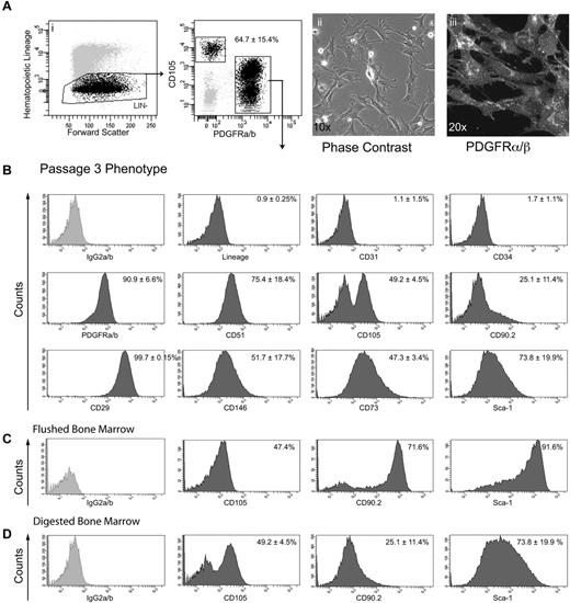 Figure 4. Isolation and phenotypic analysis of long-term cultured Lin−PDGFRαβ+ BMSCs. (Ai-ii) Representative gating strategy of viable cells for FACS isolation of Lin−PDGFRαβ+ cells from P0 cultures. (Aii-iii) Phase-contrast image and PDGFRβ immunostaining at passage 3. (B) FACS analysis of MSC markers in cultures of passage 3 Lin−PDGFRαβ+ cells (n = 3). FACS analysis demonstrating phenotypic differences between flushed BM (C) and DBM cells (D). FACS data were collected on BD LSR II, and postacquisition analysis was performed with BD FACS Diva Version 6.1.3. Data are mean ± SD.