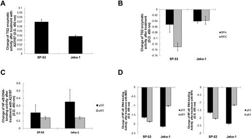 Figure 3. TG2 activity is correlated with NF-κB expression in MCL. (A) SP-53 and Jeko-1 cells were treated with A23187 (2μM for 24 hours) to activate TG2, and TG2 enzymatic activity was measured using TG2-CovTest TG2-specific colorimetric assay kit (Novus Biologicals) with cell extracts from untreated and treated SP-53 and Jeko-1 cells. Changes in TG2 enzymatic levels before and after treatment with A23187 were measured. The colorimetric values (optical density, 450 nm) in untreated samples were subtracted from the values measured in treated samples. Results are shown as the means ± SD. Treatment with A23187 clearly induced the activation of TG2. (B) Nuclear extracts from SP-53 and Jeko-1 cells that were untreated or treated with A23187 (2μM for 24 hours) were analyzed using ELISA assays to evaluate p50 and p65 DNA-binding activities. Changes in p50 and p65 DNA-binding activity levels before and after treatment with A23187 were measured. The colorimetric values (optical density, 450 nm) in untreated samples were subtracted from the values measured in treated samples. Results are shown as the means ± SD. TG2 activation increased NF-κB DNA-binding activities in MCL cells. (C) SP-53 and Jeko-1 cells were treated with MDC (50μM for 24 hours) or BPA (1mM for 24 hours) for TG2 inhibition. TG2 enzymatic activities were measured using the TG2-specific colorimetric assay with cell extracts from untreated and treated SP-53 and Jeko-1 cells. Changes in TG2 enzymatic levels before and after treatment with MDC or BPA were measured. The colorimetric values in untreated samples were subtracted from those measured in treated samples. Results are shown as the means ± SD. Treatment with the TG2-specific inhibitors MDC and BPA inhibited TG2 expression. (D) Nuclear extracts from SP-53 and Jeko-1 cells with or without the TG2-specific inhibitors MDC (50μM for 24 hours) and BPA (1mM for 24 hours) were subjected to ELISA assays to evaluate p50 and p65 DNA-binding activities. Changes in p50 and p65 DNA-binding activity levels before and after treatment with MDC or BPA were measured. The colorimetric values in untreated samples were subtracted from those measured in treated samples. Results are shown as the means ± SD. TG2 inhibition suppressed NF-κB expression in MCL cells.