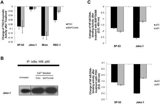 Figure 4. Calcium blockers suppressed TG2 and NF-κB activity in MCL. (A) SP-53, Jeko-1, Mino, and REC1 cells were treated with the intracellular Ca2+ chelator BAPTA/AM (60μM for 24 hours) or the L-type calcium-channel blocker POH (1mM for 24 hours). TG2 enzymatic activity was subsequently measured using a TG2-CovTest TG2-specific colorimetric assay kit (Novus Biologicals) with cell extracts from untreated and treated SP-53 and Jeko-1 cells. Changes in TG2 enzymatic levels before and after treatment with BAPTA/AM or POH were measured. The colorimetric values in untreated samples were subtracted from the values measured in treated samples. Results are shown as the means ± SD. Treatment with the calcium blockers BAPTA/AM or POH suppressed TG2 expression in MCL cell lines. (B) Calcium blockers affected the affinity between IκBα and p65 in MCL cells. Jeko-1 cells were treated with BAPTA/AM (60μM) or POH (1mM) for 24 hours. Cell lysates were prepared from untreated and treated SP-53 and Jeko-1 cells, immunoprecipitated using an anti-IκBα Ab, and probed with an anti-p65 Ab. Equal amounts of proteins were used. The amount of p65 proteins that interacted with IκBα was increased in response to BAPTA/AM or POH treatment. IP indicates immunoprecipitation; and WB, Western blot. (C) Calcium blocker–induced TG2 inhibition suppressed NF-κB activity in MCL cells. Nuclear extracts from SP-53 and Jeko-1 cells that were untreated or treated with BAPTA/AM (60μM for 24 hours) or POH (1mM for 24 hours) were analyzed for p50 and p65 DNA-binding activities using ELISA assays. Changes in p50 and p65 DNA-binding activity levels before and after treatment with BAPTA/AM or POH were measured. The colorimetric values in untreated samples were subtracted from the values measured in treated samples. Results are shown as the means ± SD.